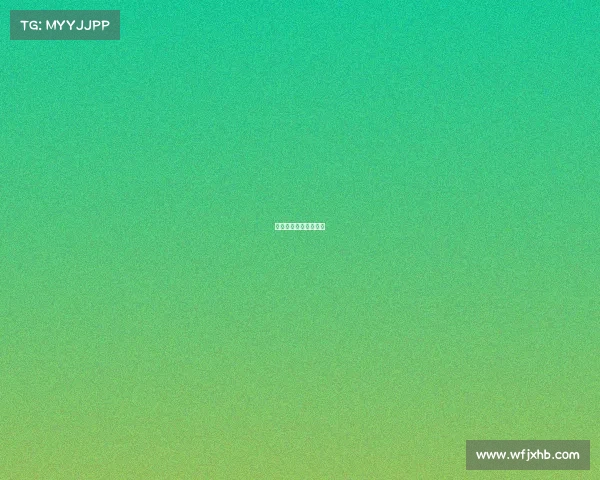 卡丁车国际赛事有哪些